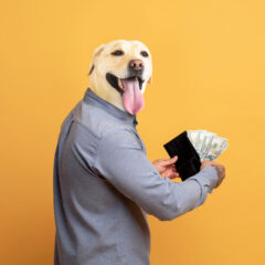 ¿Es el Seguro Social un Esquema Ponzi? Una Comparación con Dogecoin y el Memecoin $TRUMP